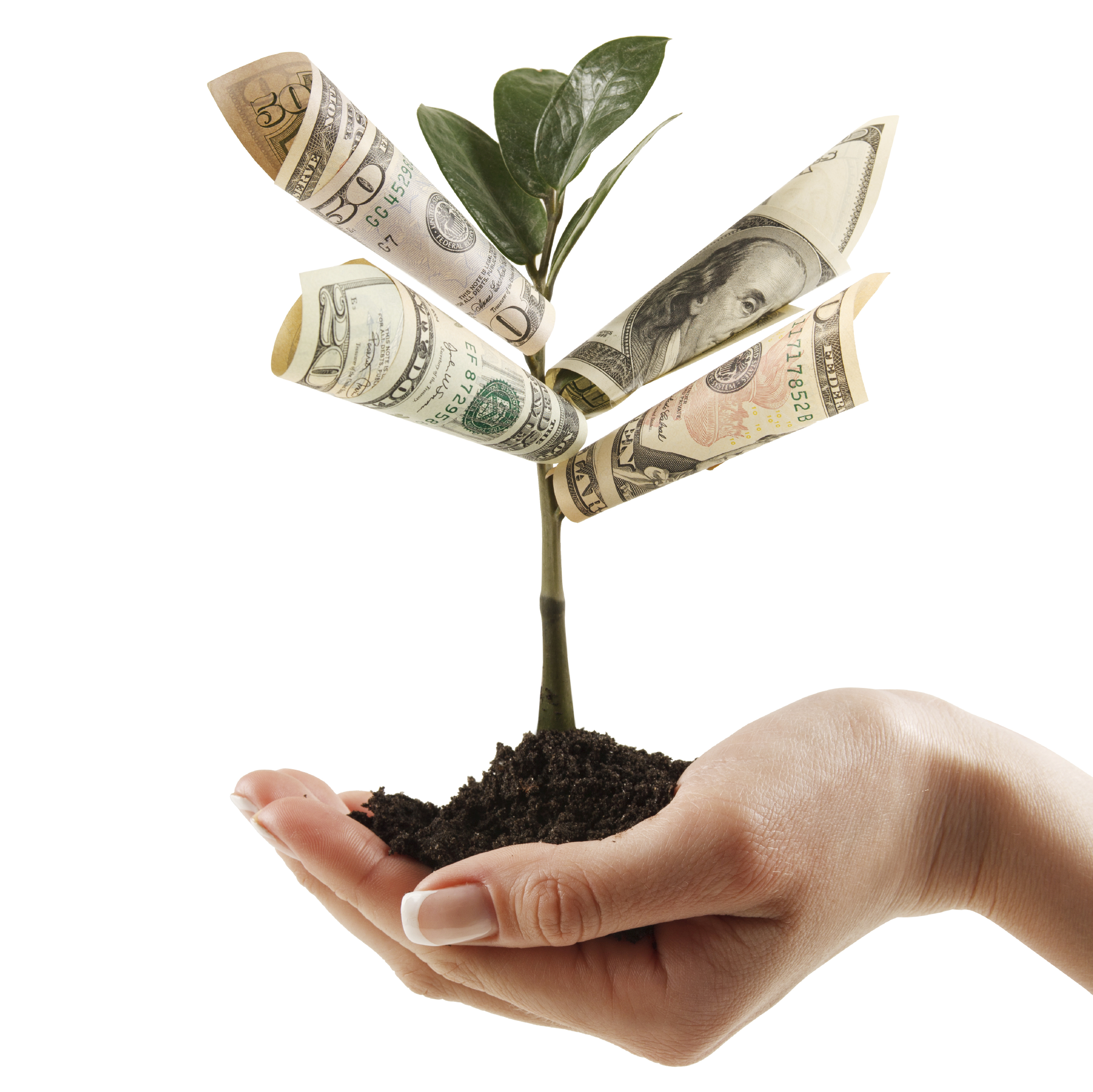 Бизнес благополучие. Дерево с деньгами. Денежное дерево с деньгами. Достаток богатство. Успех богатство благополучие.