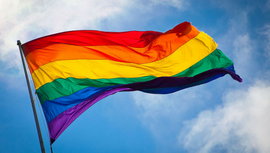 LGBT Rainbow Flag