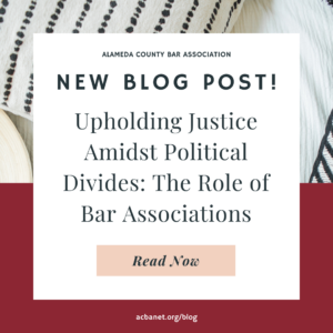 Upholding Justice Amidst Political Divides: The Role of Bar Associations