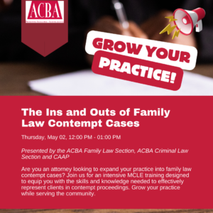 The Ins and Outs of Family Law Cases